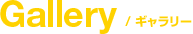 Gallery�b�M�������[