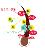 STEP1